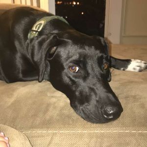 Meet your Posher, Kelly